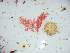  ( - GWS046087)  @11 [ ] Unspecified (default): All Rights Reserved  Unspecified Unspecified