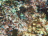  ( - GWS046171)  @11 [ ] Unspecified (default): All Rights Reserved  Unspecified Unspecified