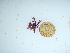  ( - GWS046246)  @11 [ ] Unspecified (default): All Rights Reserved  Unspecified Unspecified