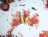  ( - GWS046270)  @11 [ ] Unspecified (default): All Rights Reserved  Unspecified Unspecified