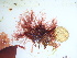  ( - GWS046291)  @11 [ ] Unspecified (default): All Rights Reserved  Unspecified Unspecified