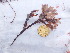 ( - GWS046482)  @11 [ ] Unspecified (default): All Rights Reserved  Unspecified Unspecified