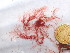  ( - GWS046486)  @11 [ ] Unspecified (default): All Rights Reserved  Unspecified Unspecified