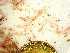  ( - GWS046492)  @11 [ ] Unspecified (default): All Rights Reserved  Unspecified Unspecified