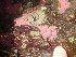  ( - GWS046554)  @11 [ ] Unspecified (default): All Rights Reserved  Unspecified Unspecified