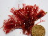  ( - GWS046757)  @11 [ ] Unspecified (default): All Rights Reserved  Unspecified Unspecified
