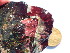  ( - GWS046790)  @11 [ ] Unspecified (default): All Rights Reserved  Unspecified Unspecified