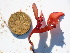  ( - GWS046818)  @11 [ ] Unspecified (default): All Rights Reserved  Unspecified Unspecified