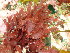  ( - GWS046961)  @11 [ ] Unspecified (default): All Rights Reserved  Unspecified Unspecified