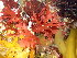  ( - GWS046964)  @11 [ ] Unspecified (default): All Rights Reserved  Unspecified Unspecified
