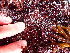  ( - GWS047005)  @11 [ ] Unspecified (default): All Rights Reserved  Unspecified Unspecified