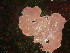  ( - GWS047175)  @11 [ ] Unspecified (default): All Rights Reserved  Unspecified Unspecified