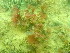  ( - GWS047432)  @11 [ ] Unspecified (default): All Rights Reserved  Unspecified Unspecified