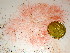  ( - GWS047451)  @11 [ ] Unspecified (default): All Rights Reserved  Unspecified Unspecified