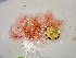  ( - GWS047463)  @11 [ ] Unspecified (default): All Rights Reserved  Unspecified Unspecified