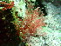  ( - GWS047608)  @11 [ ] Unspecified (default): All Rights Reserved  Unspecified Unspecified