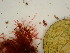  ( - GWS047611)  @11 [ ] Unspecified (default): All Rights Reserved  Unspecified Unspecified