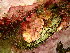  ( - GWS047649)  @11 [ ] Unspecified (default): All Rights Reserved  Unspecified Unspecified