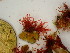  ( - GWS047650)  @11 [ ] Unspecified (default): All Rights Reserved  Unspecified Unspecified