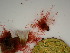 ( - GWS047655)  @11 [ ] Unspecified (default): All Rights Reserved  Unspecified Unspecified