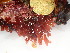  ( - GWS047660)  @11 [ ] Unspecified (default): All Rights Reserved  Unspecified Unspecified