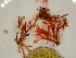  ( - GWS047759)  @11 [ ] Unspecified (default): All Rights Reserved  Unspecified Unspecified