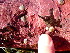  ( - GWS047822)  @11 [ ] Unspecified (default): All Rights Reserved  Unspecified Unspecified