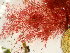  ( - GWS047906)  @11 [ ] Unspecified (default): All Rights Reserved  Unspecified Unspecified