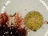  ( - GWS047930)  @11 [ ] Unspecified (default): All Rights Reserved  Unspecified Unspecified