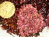  ( - GWS047961)  @11 [ ] Unspecified (default): All Rights Reserved  Unspecified Unspecified