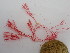  ( - GWS048003)  @11 [ ] Unspecified (default): All Rights Reserved  Unspecified Unspecified