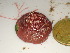  ( - GWS048021)  @11 [ ] Unspecified (default): All Rights Reserved  Unspecified Unspecified