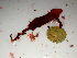  ( - GWS048092)  @11 [ ] Unspecified (default): All Rights Reserved  Unspecified Unspecified