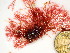 ( - GWS048103)  @11 [ ] Unspecified (default): All Rights Reserved  Unspecified Unspecified