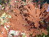  ( - GWS048196)  @11 [ ] Unspecified (default): All Rights Reserved  Unspecified Unspecified