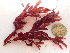  ( - GWS048232)  @11 [ ] Unspecified (default): All Rights Reserved  Unspecified Unspecified