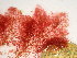  ( - GWS048280)  @11 [ ] Unspecified (default): All Rights Reserved  Unspecified Unspecified