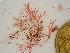  ( - GWS048284)  @11 [ ] Unspecified (default): All Rights Reserved  Unspecified Unspecified