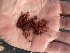  ( - GWS048332)  @11 [ ] Unspecified (default): All Rights Reserved  Unspecified Unspecified