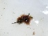  ( - GWS048350)  @11 [ ] Unspecified (default): All Rights Reserved  Unspecified Unspecified