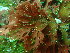  ( - GWS048437)  @11 [ ] Unspecified (default): All Rights Reserved  Unspecified Unspecified