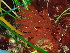  ( - GWS048477)  @11 [ ] Unspecified (default): All Rights Reserved  Unspecified Unspecified