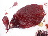  ( - GWS048497)  @11 [ ] Unspecified (default): All Rights Reserved  Unspecified Unspecified