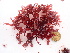  ( - GWS048498)  @11 [ ] Unspecified (default): All Rights Reserved  Unspecified Unspecified