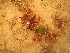  ( - GWS048756)  @11 [ ] Unspecified (default): All Rights Reserved  Unspecified Unspecified