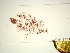  ( - GWS048777)  @11 [ ] Unspecified (default): All Rights Reserved  Unspecified Unspecified