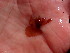  ( - GWS048817)  @11 [ ] Unspecified (default): All Rights Reserved  Unspecified Unspecified