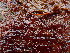  ( - GWS049265)  @11 [ ] Unspecified (default): All Rights Reserved  Unspecified Unspecified