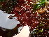  ( - GWS049270)  @11 [ ] Unspecified (default): All Rights Reserved  Unspecified Unspecified