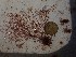  ( - GWS049424)  @11 [ ] Unspecified (default): All Rights Reserved  Unspecified Unspecified